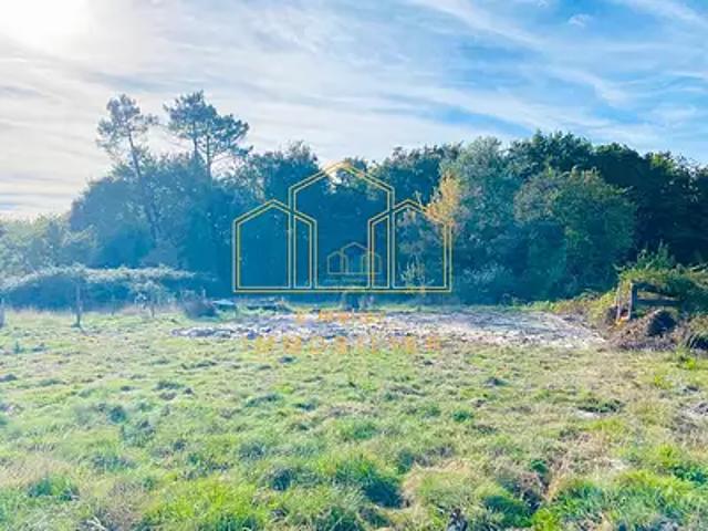 Terrain vente à France métropolitaine, Sanguinet