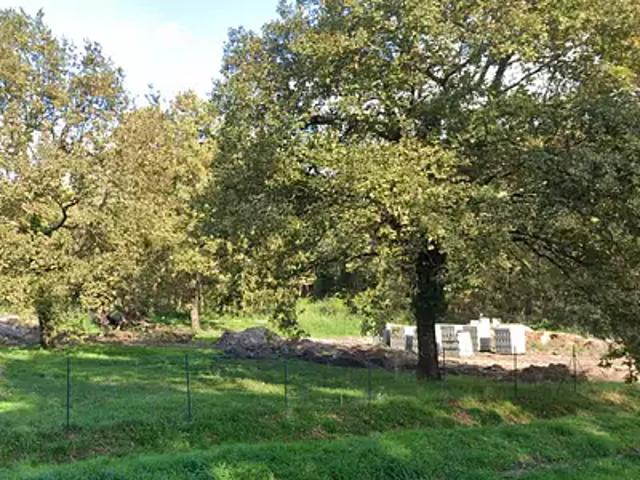 Terrain vente à France métropolitaine, Sanguinet