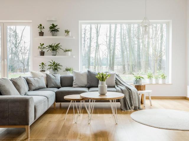 Appartement vente à France métropolitaine, Sanguinet