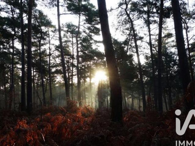 Terrain vente à Sanguinet, Landes