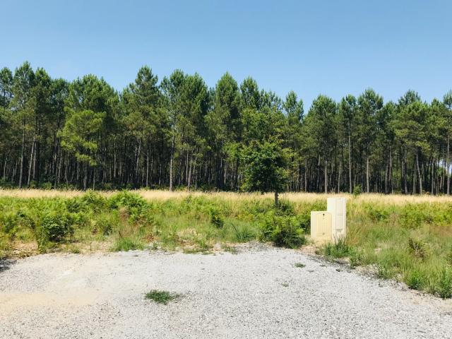 Terrain vente à France métropolitaine, Sanguinet