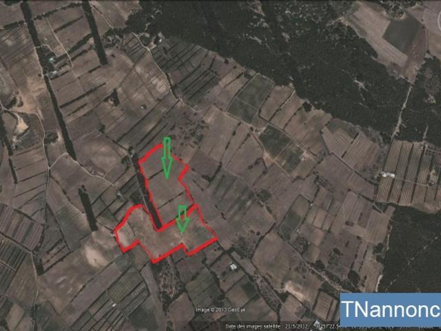 Terrain location