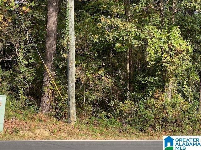 Land for sale in Odenville, Alabama