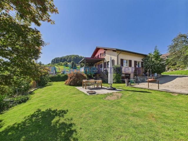 Einfamilienhaus kaufen in Unterkulm, Aargau