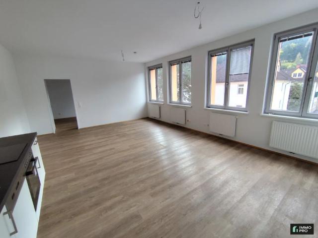 Apartment mieten in Donawitz, Leoben