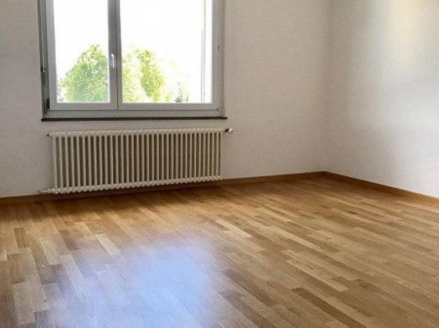 Apartment mieten in Dietikon