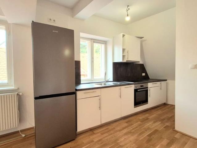 Apartment mieten in Innere Stadt, Gersdorf-Feistritz