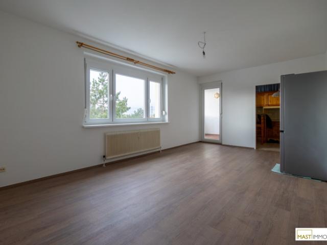 Wohnung kaufen in Wiener Neudorf, Niederösterreich