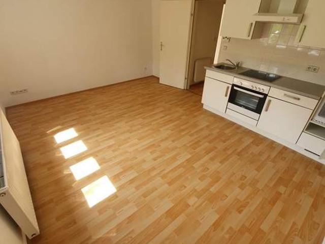 Wohnung mieten in KG Hietzing, Wien