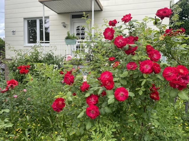 Haus kaufen in Weidenau, Siegen