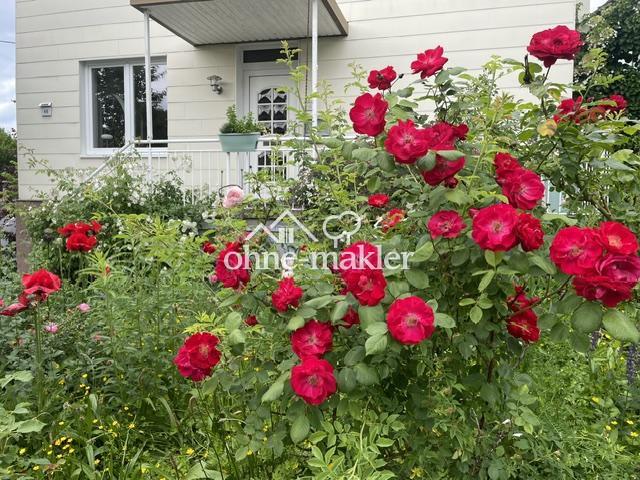 Haus kaufen in Weidenau, Siegen