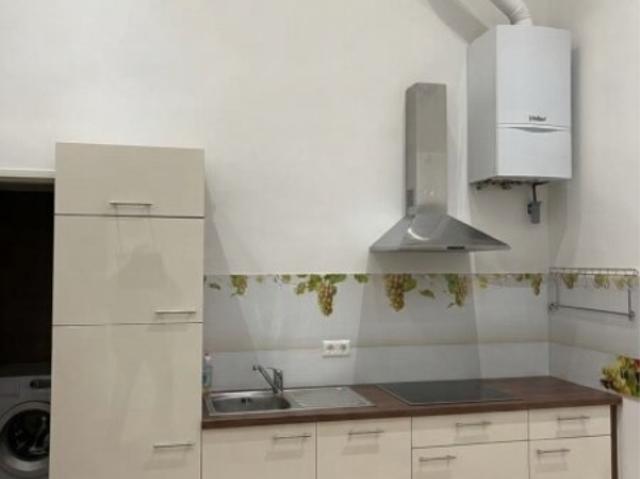 Erdgeschosswohnung kaufen in Wien
