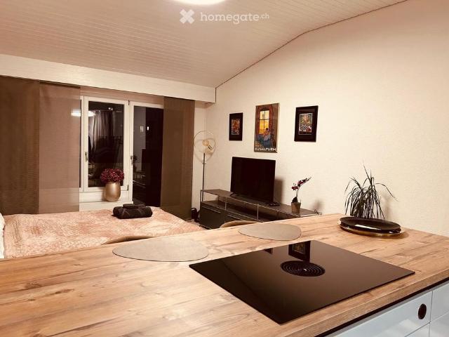 Apartment mieten in Schönengrund, Hinterland