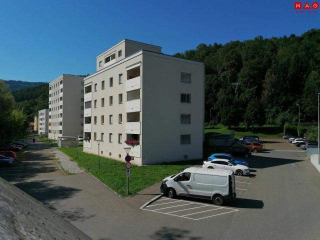 Apartment mieten in Leoben, Seegraben