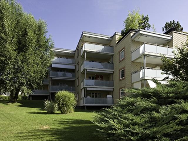 Wohnung mieten in Steinhausen, Zug