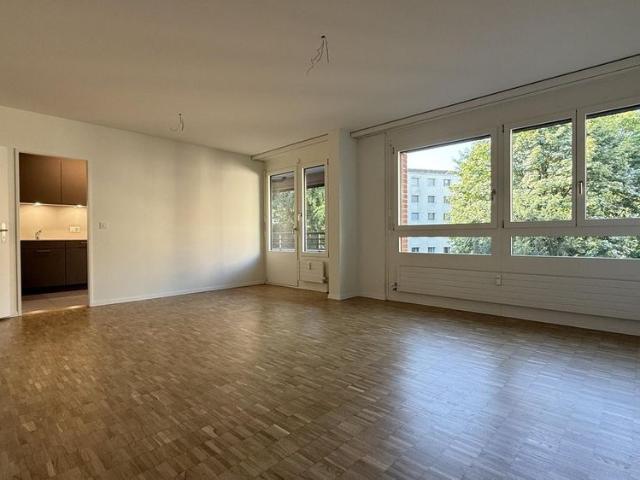 Apartment mieten in Basel, Basel-Stadt