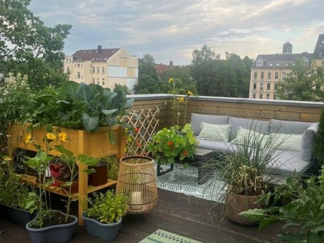 Apartment mieten in Schloßchemnitz, Chemnitz