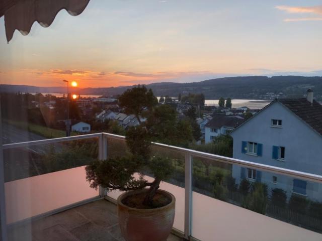 Mehrfamilienhaus kaufen in Steckborn, Thurgau