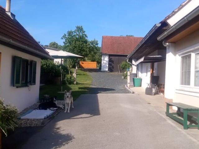 Einfamilienhaus kaufen in Mischendorf, Burgenland