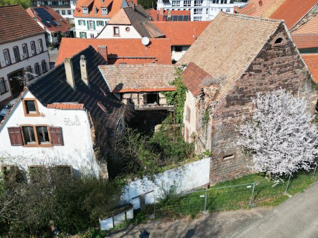 Haus kaufen in Asselheim, Grünstadt