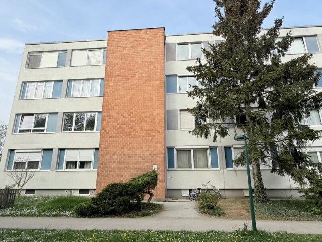 Wohnung kaufen in Maria Enzersdorf, Niederösterreich