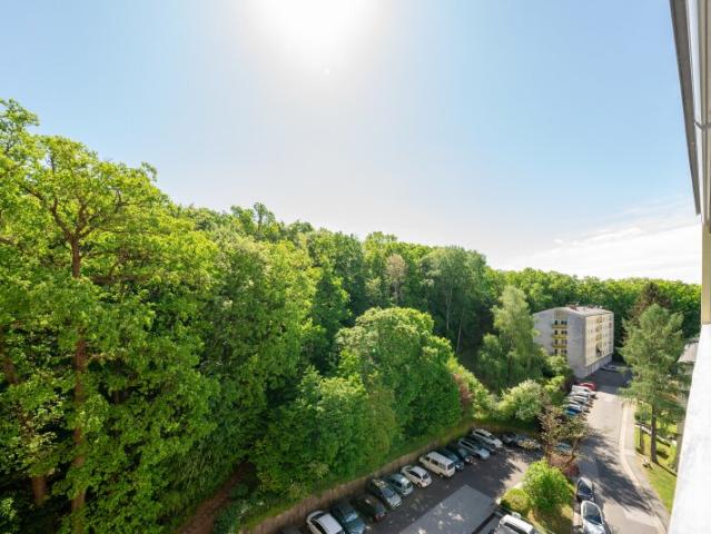 Wohnung kaufen in Gersdorf-Feistritz, Steiermark
