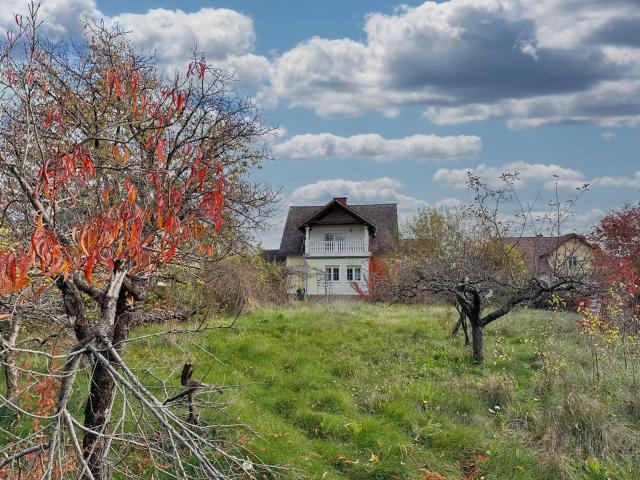 Haus kaufen in Kaindorf an der Sulm, Steiermark