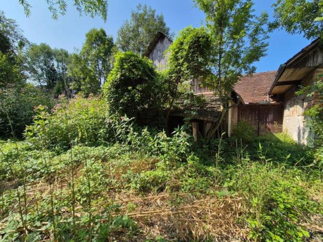 Haus kaufen in Neudau, Steiermark