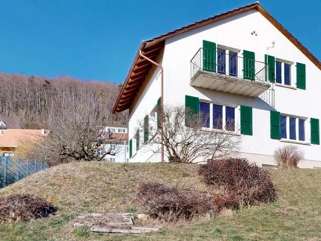 Einfamilienhaus kaufen in Himmelried, Solothurn
