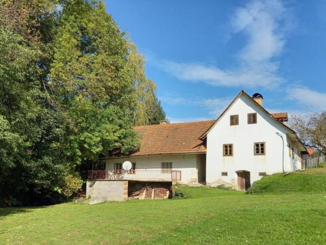 Einfamilienhaus kaufen in Vorau, Steiermark