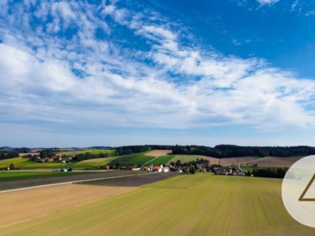 Mehrfamilienhaus kaufen in Peuerbach, Bezirk Grieskirchen