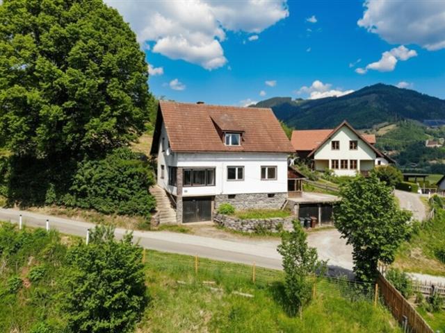 Haus kaufen in Bruck an der Mur, Steiermark