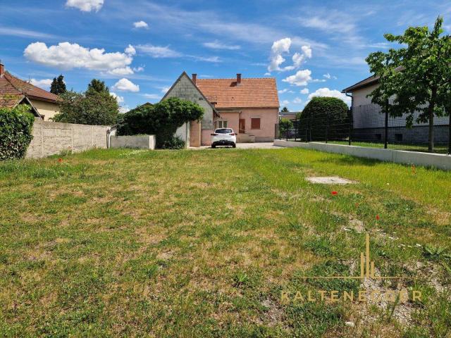 Haus kaufen in Kottingbrunn, Niederösterreich