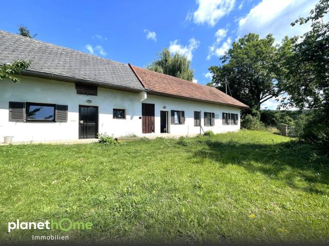 Haus kaufen in Weiden bei Rechnitz