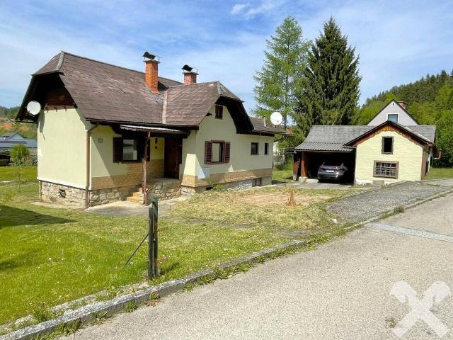 Haus kaufen in Voitsberg