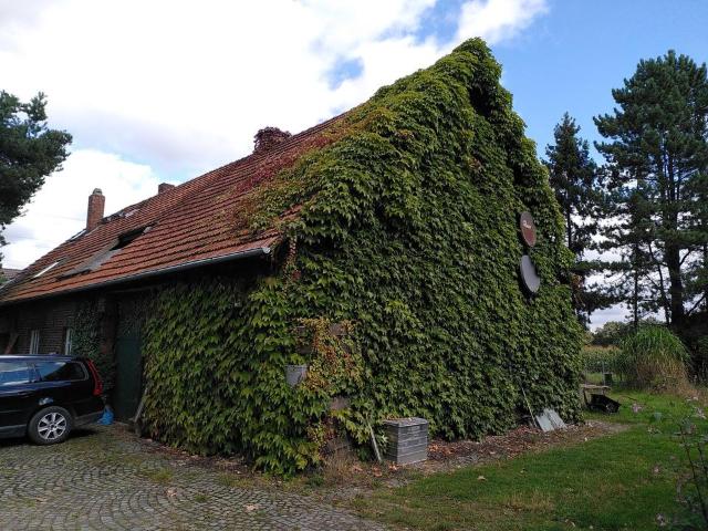 Haus kaufen in Lienen, Nordrhein-Westfalen