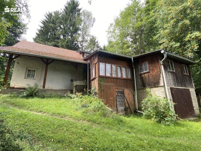 Haus kaufen in Rohrbach an der Lafnitz, Steiermark