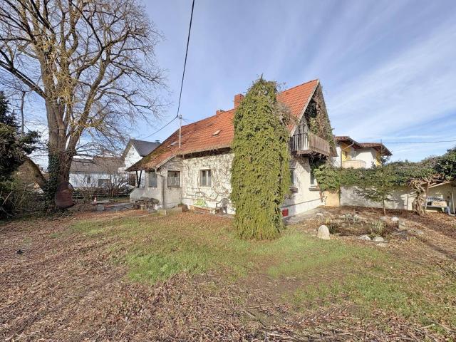 Haus kaufen in Marchtrenk, Oberösterreich