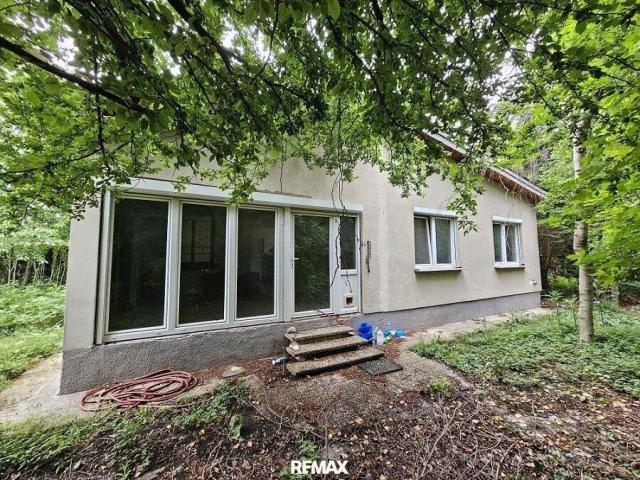 Haus kaufen in Neu-Mitterndorf, Mitterndorf an der Fischa