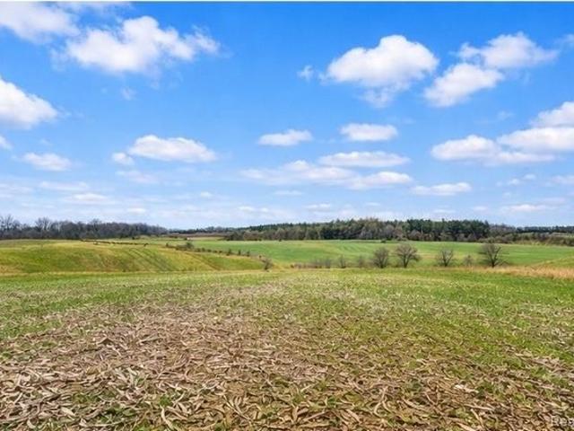 Land for sale in Tuscola, Michigan