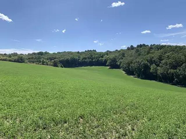 Terrain vente à Notre-Dame-de-Sanilhac, Sanilhac