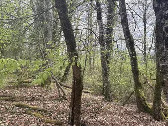 Terrain vente à Périgueux, Sanilhac