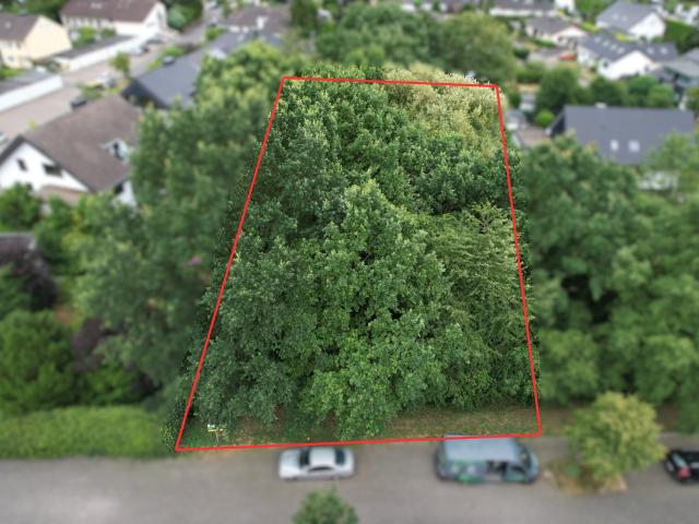 Erdgeschosswohnung kaufen in Hangelar, Sankt Augustin