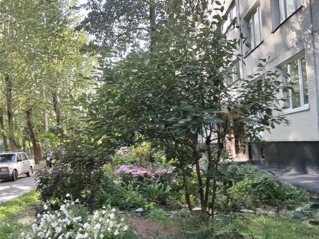 Квартира продажа в Нижегородская Ст-ца