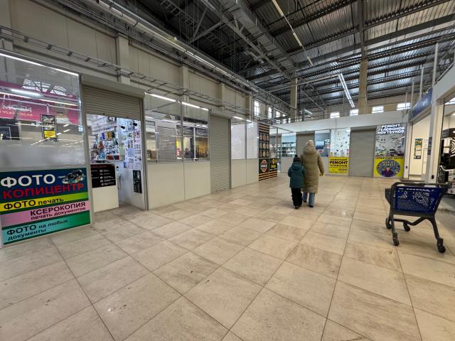 Квартира аренда в Торфяное, Парголово