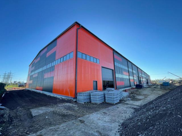 Квартира аренда в Шушары