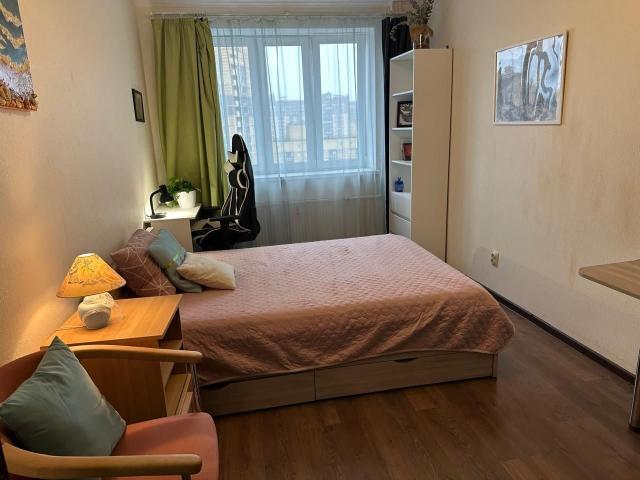Квартира аренда в Торфяное, Парголово