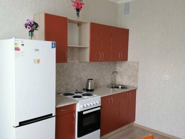 Квартира аренда в Торфяное, Парголово