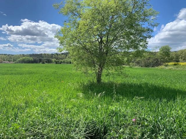 Terreno en venta en Vallès Oriental, Catalunya