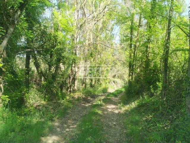 Terreno en venta en Alt Penedès, Catalunya
